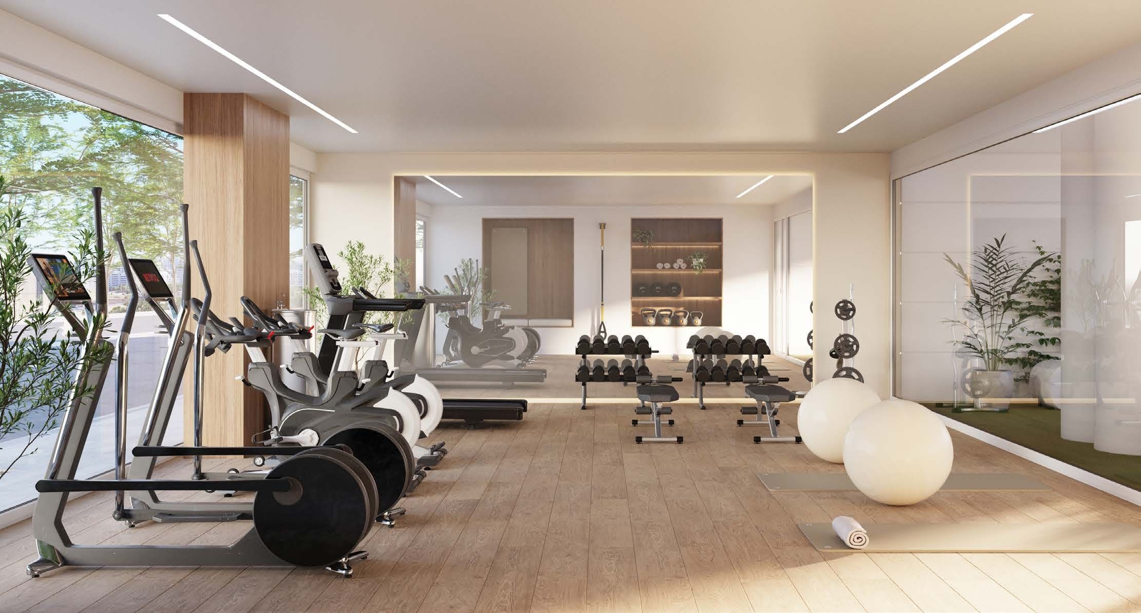 Gimnasio de la promoción