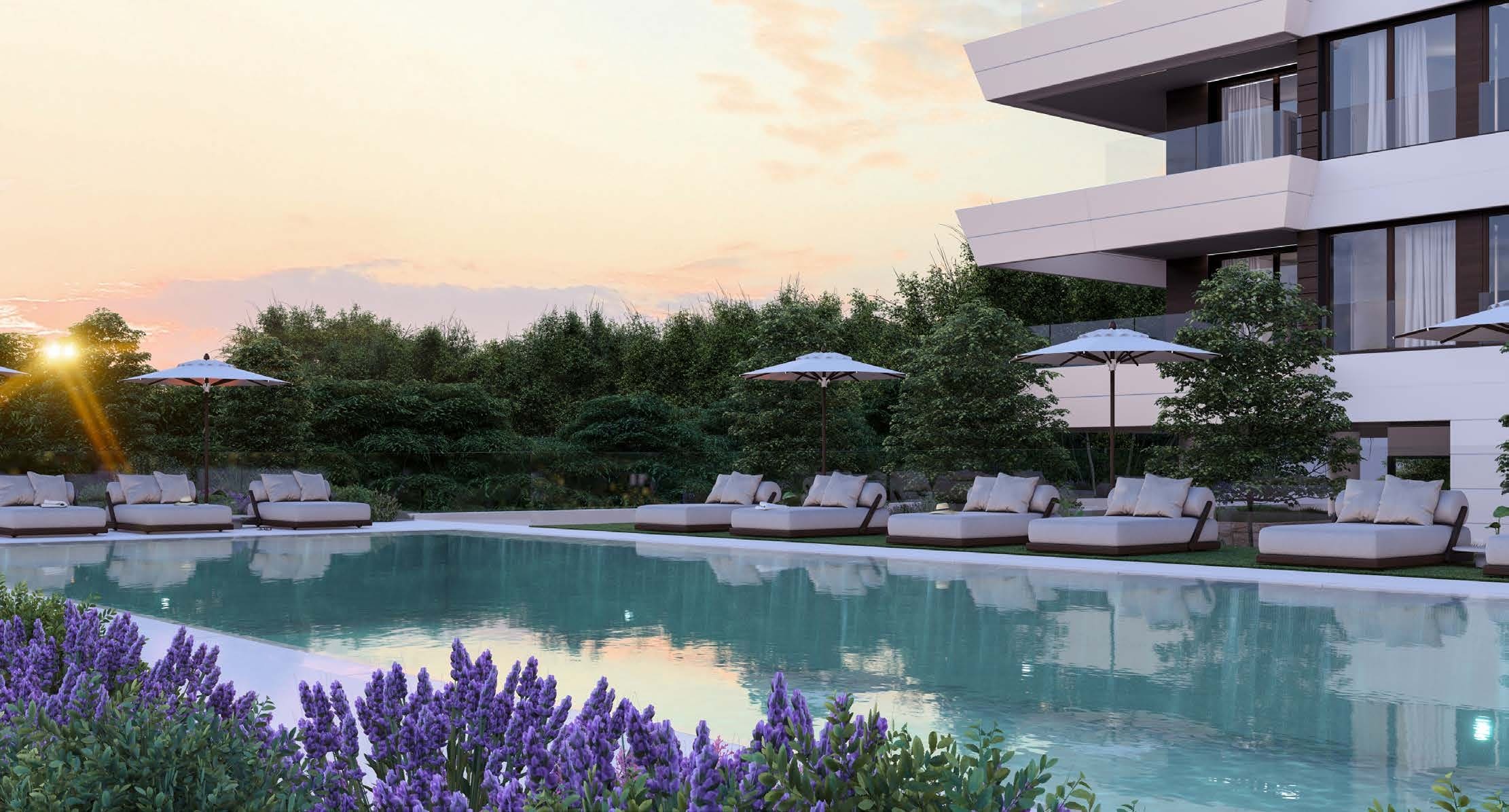 Piscina y solárium de la promoción